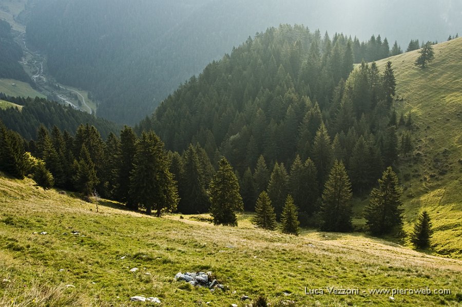 2- Esercito sempreverde.jpg